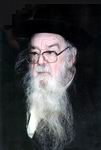 Rabbi Shalom Mordechai [Maharsham] Shvedron 